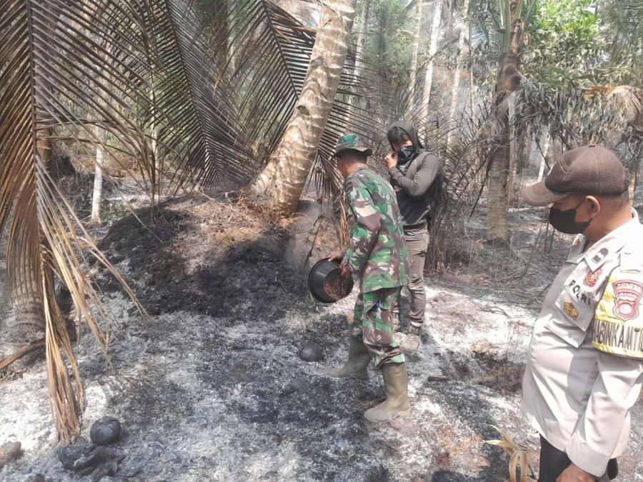 2 Hektar Lahan Gambut Terbakar, Babinsa 07/Reteh dan Tim Gabungan Padamkan 100 Persen