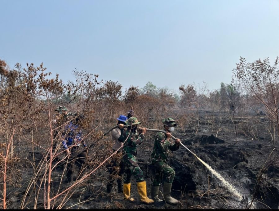 205 Personel Gabungan Tangani Karhutla di Rantau Baru Pelalawan