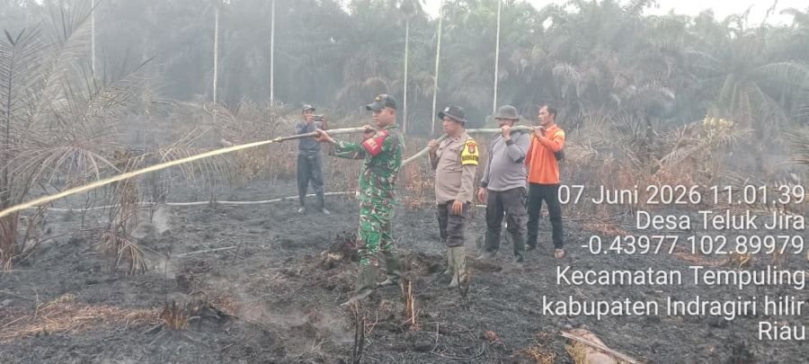 27 Personel Padamkan Karhutla di Teluk Jira, Babinsa 03/Tpl : Api Berhasil Dijinakkan