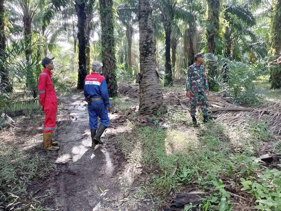_*Peduli Cegah Karhutla, Babinsa Koramil 05/BB Laksanakan Patroli Bersama MPA*_