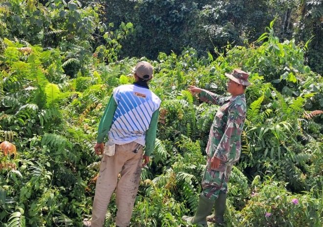 Aksi Cepat Koramil 04 Rupat Antisipasi Karhutla Bengkalis