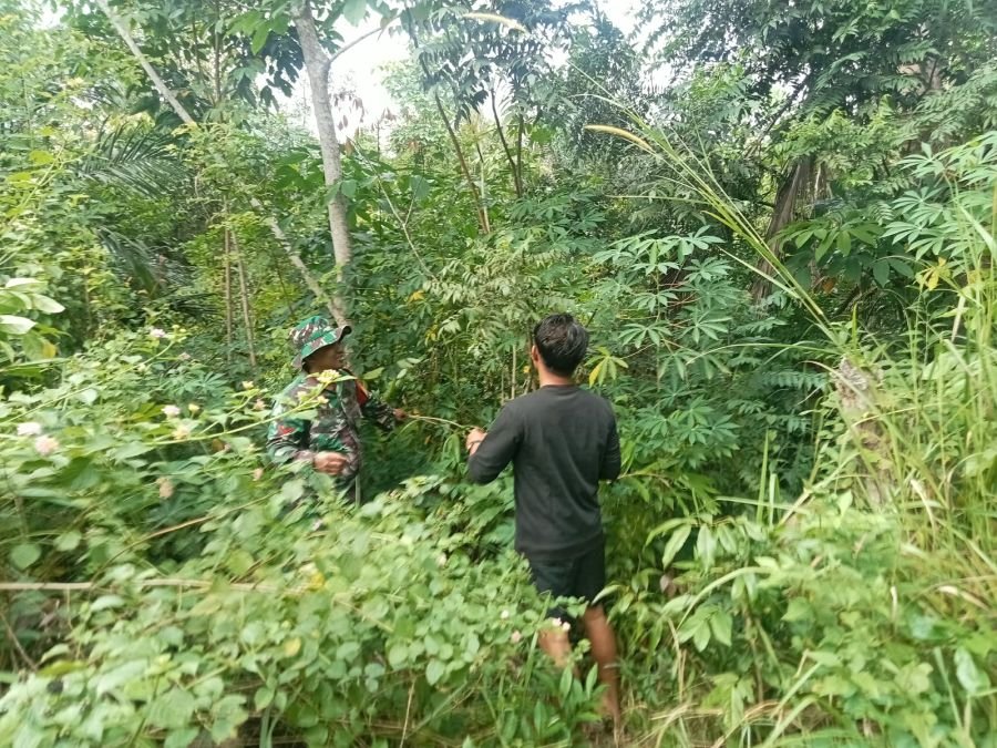 Aksi Nyata Kopda Feri dan Warga Hutan Panjang Kerap Patroli Lahan Rawan
