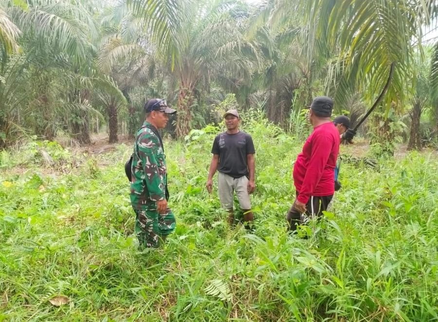 Aman dan Kondusif, Patroli Karhutla Babinsa Koramil 09/Kemuning di Pengalihan Tidak Temukan Api