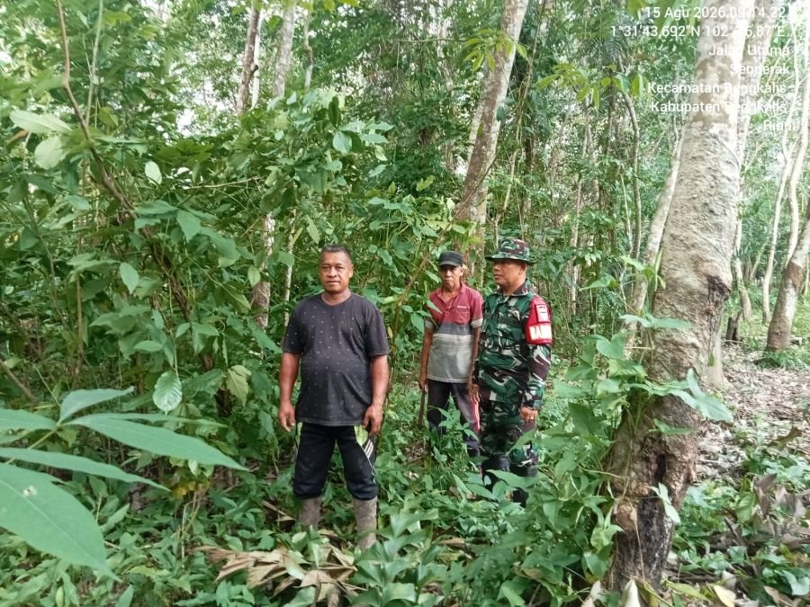 Anggota koramil 01/Bengkalis serma raiyen melaksanakan patroli karhutla di desa saka auh bengkalis