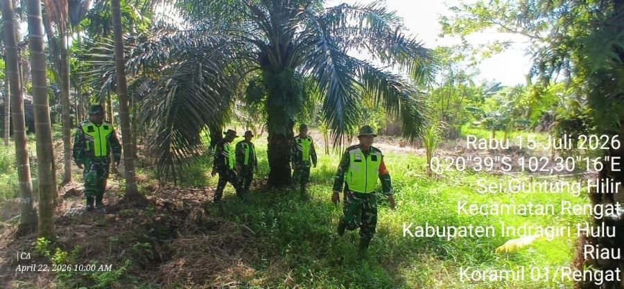 Antisipasi api, Babinsa Koramil 01/Rengat Tetap Gencar Patroli Karhutla Di Desa Sei Guntung Hilir
