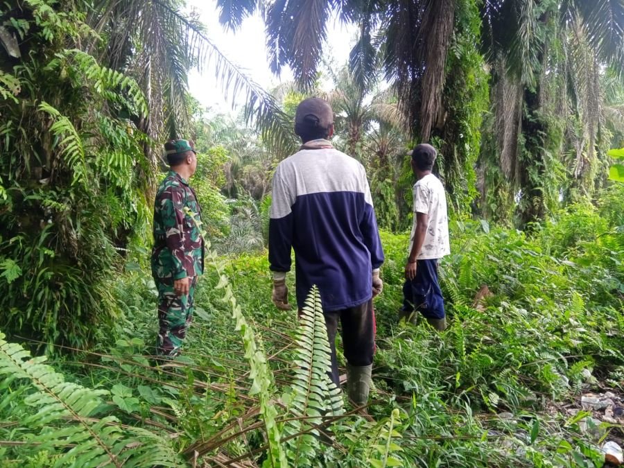 Antisipasi Cuaca Panas, Babinsa Koramil 01/Siak Perketat Patroli Karhutla di Dusun Kayu Batu