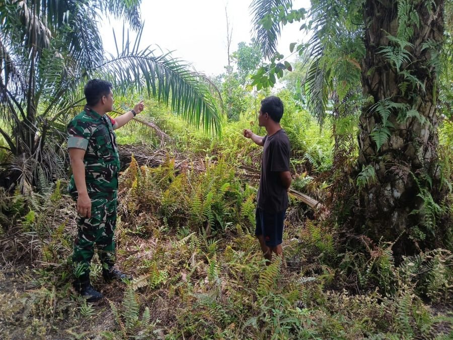 Antisipasi Karhutla, Babinsa dan MPA Sisir Wilayah Sungai Ukai Sambil Edukasi Warga