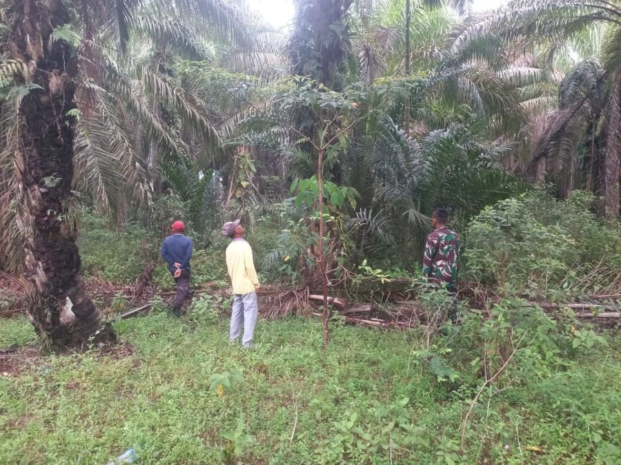 Antisipasi Karhutla, Babinsa Koramil 05/Rimba Melintang Bersama MPA Patroli Lahan Rawan