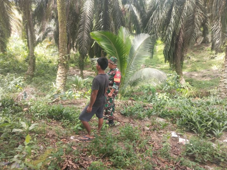 Antisipasi Karhutla, Babinsa Koramil 08/RB Sisir Wilayah Rawan Kebakaran