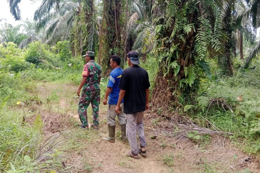 Antisipasi Karhutla, Babinsa Koramil 09/Kemuning Patroli di Wilayah Lubuk Besar