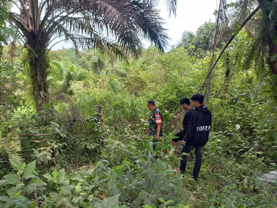 Antisipasi Karhutla, Babinsa Koramil 04/Perawang dan Warga Sisir Wilayah Rawan