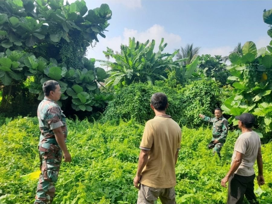 Antisipasi Karhutla, Babinsa Koramil 01/Bangko Gencarkan Patroli di Kecamatan Pekaitan