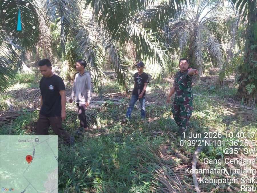 Antisipasi Karhutla Babinsa Serda Deddy  laksanakan Patroli dengan warga Kp Tualang