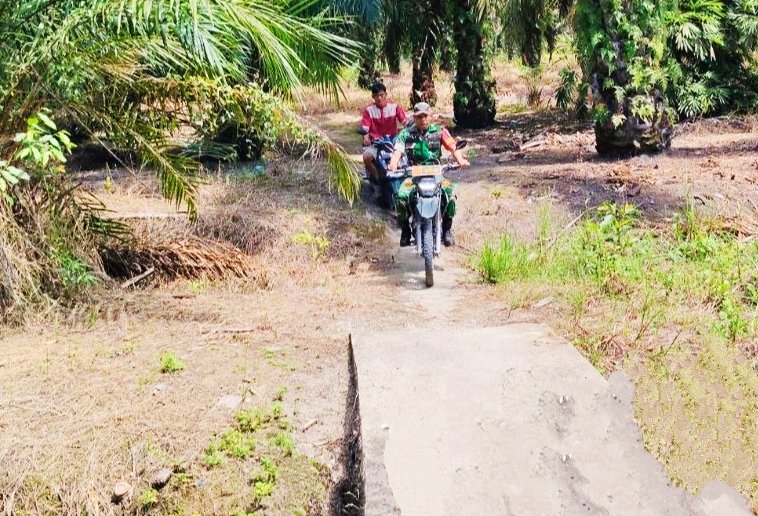 Antisipasi Karhutla, Koptu Jantri Istani: Pencegahan tidak bisa Dilakukan Sendiri