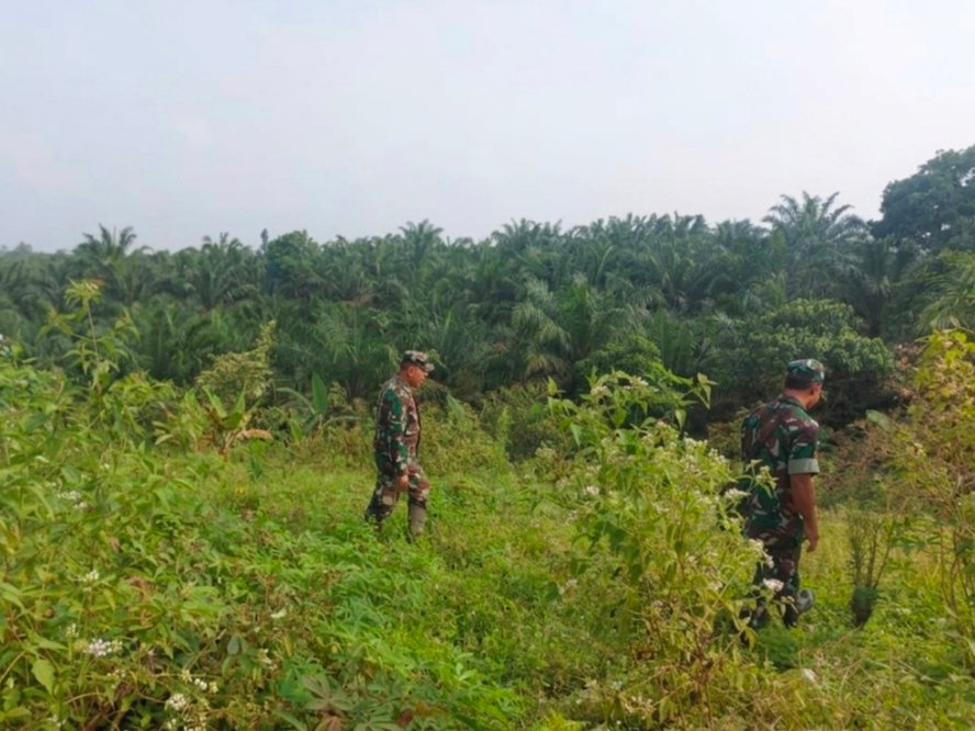 Antisipasi Karhutla, Koramil 01/Bangko Intensifkan Patroli di Wilayah Sungai Bakau