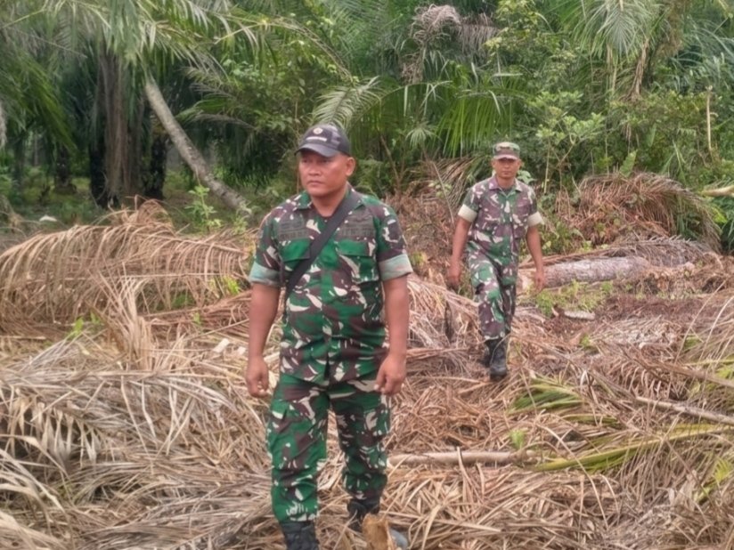 Antisipasi Karhutla, Koramil 01/Bangko Intensifkan Patroli di Wilayah Sungai Bakau Kecamatan Sinaboi