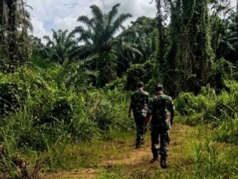 Antisipasi Kebakaran Hutan, Koramil 01/Bangko Gencarkan Patroli Karhutla di Labuhan Tangga Besar