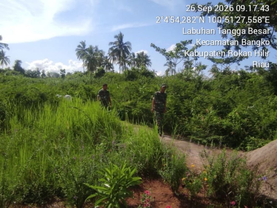 Antisipasi Kebakaran Hutan, Koramil 01/Bangko Gencarkan Patroli Karhutla di Labuhan Tangga Besar