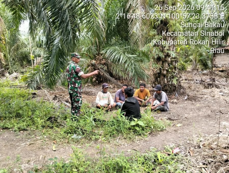 Antisipasi Kebakaran Lahan, Danpok 4 Koramil 01/Bangko Sisir Area Rawan di Sungai Bakau Sinaboi