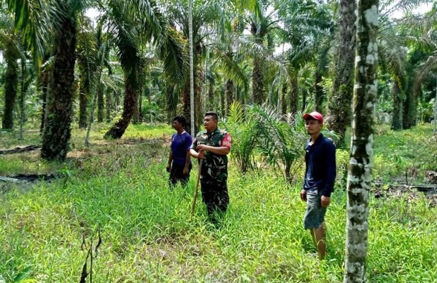 Antisipasi Musim Kemarau: Babinsa Koramil 09/Kemuning Patroli dan Edukasi Karhutla di Petalongan