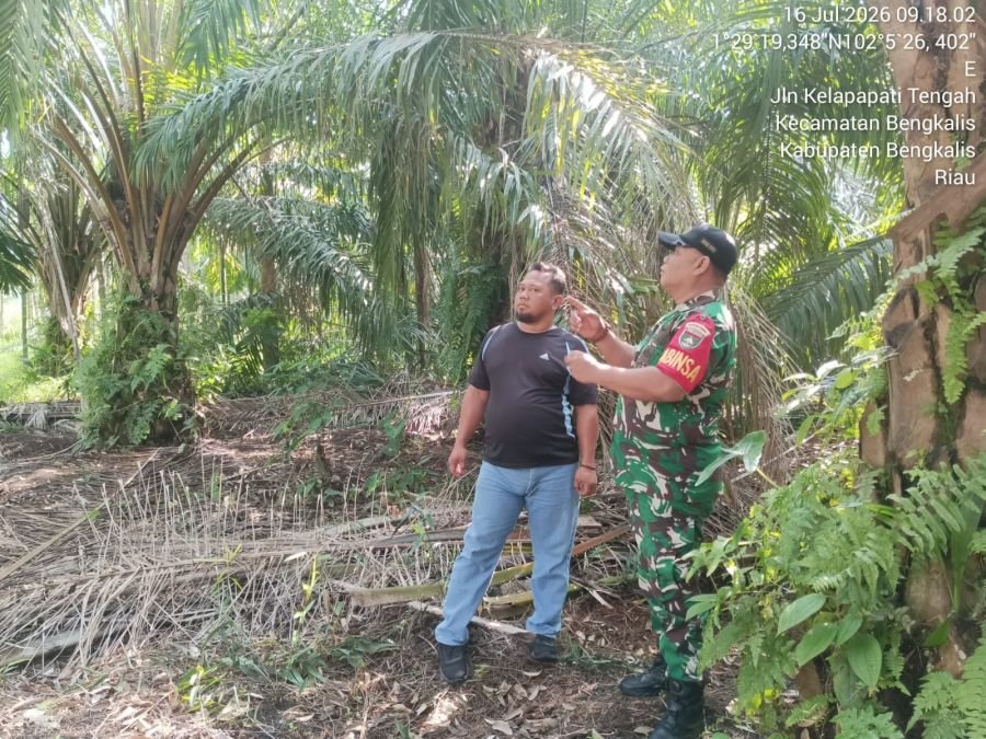 Antisipasi Musim Kemarau Babinsa Koramil 01/Bengkalis Rutin Patroli Karhutla Bersama Masyarakat