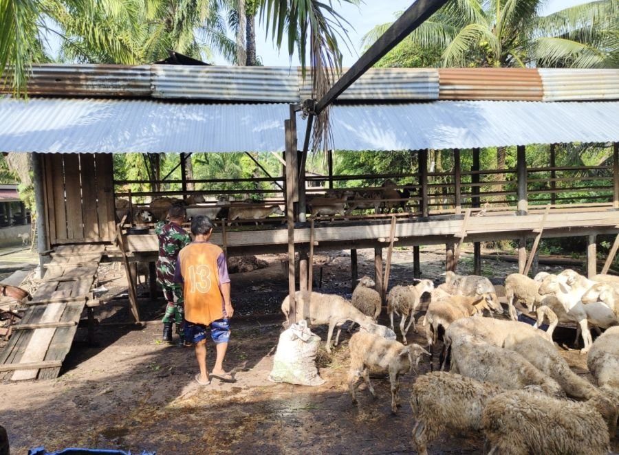 ANTISIPASI PENYAKIT HEWAN, KORAMIL 05/RIMBA MELINTANG TERJUNKAN BABINSA KE KANDANG TERNAK DI RIMBA M