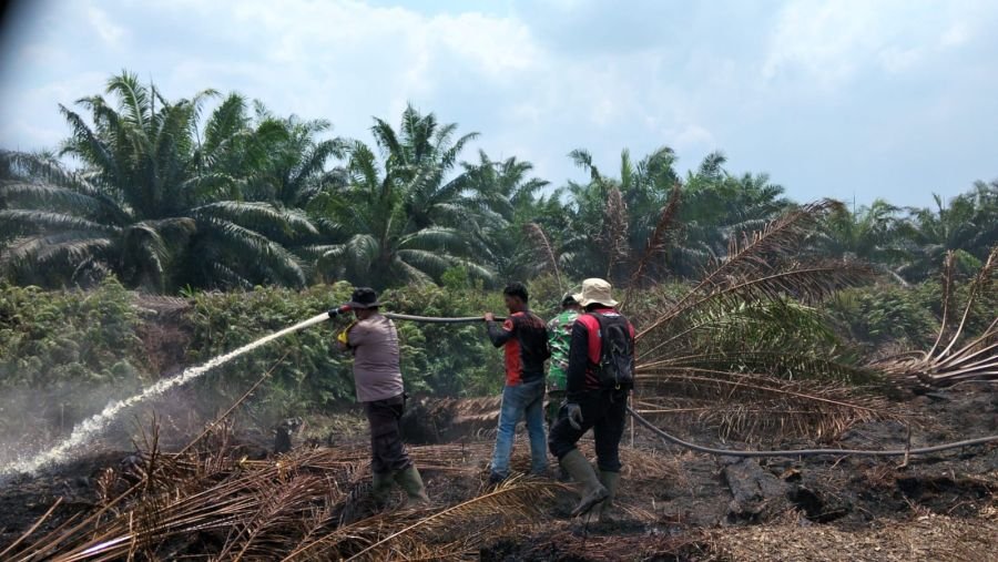 Api Padam Total di Pangkalan Libut, Tim Gabungan Tetap Lanjutkan Pendinginan Cegah Penyalaan Kembali