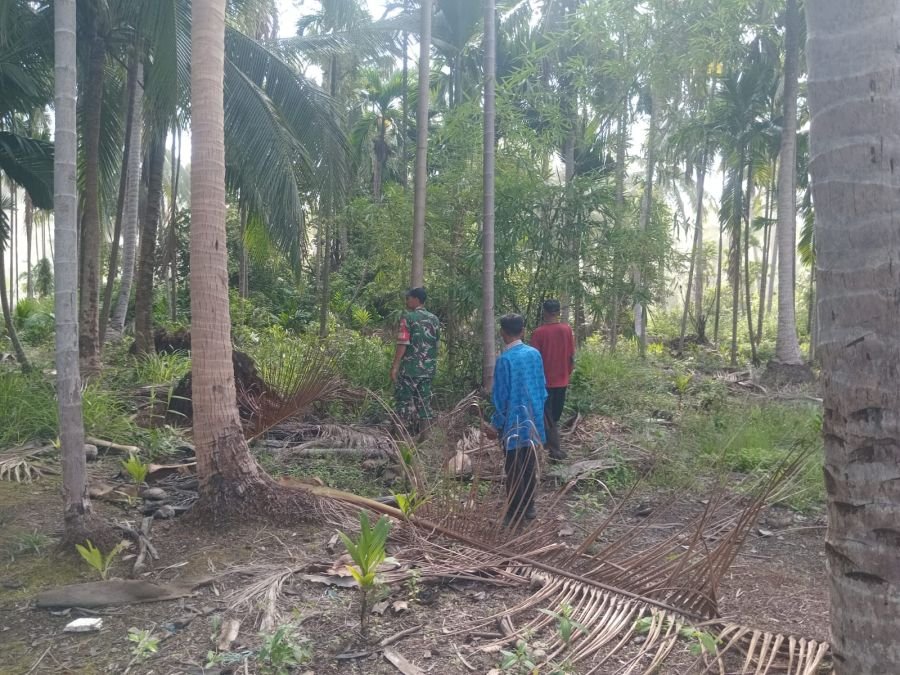 Babinsa 01/Tbh Sertu Deni Sutrisno Sisir Wilayah Cegah Pembakaran Lahan di Kecamatan Tembilahan
