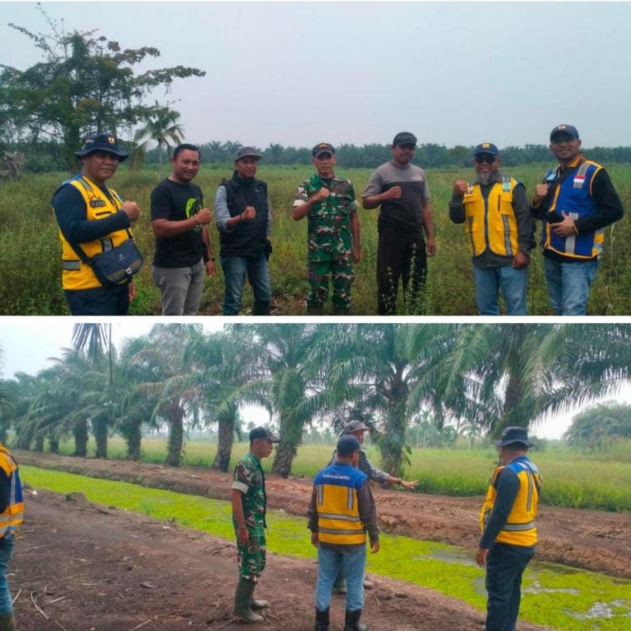 Babinsa 01/Tembilahan Serka Masri Dampingi Tim BWS Tinjau Lahan Terdampak El Nino