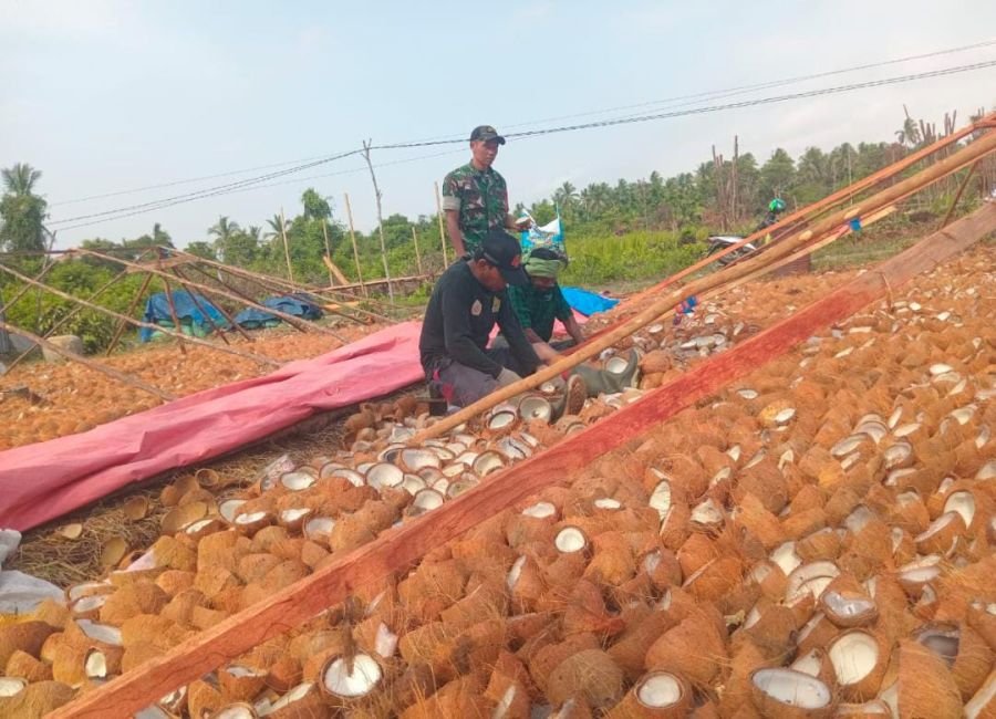 Babinsa 01/Tembilahan Sertu Deni Sutrisno Pantau Pengolahan Kelapa dan Serap Keluhan Petani