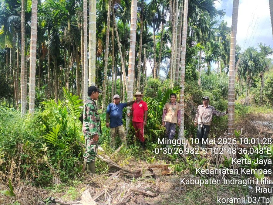 Babinsa 03/Tempuling dan Warga Sisir Tapal Batas Kerta Jaya