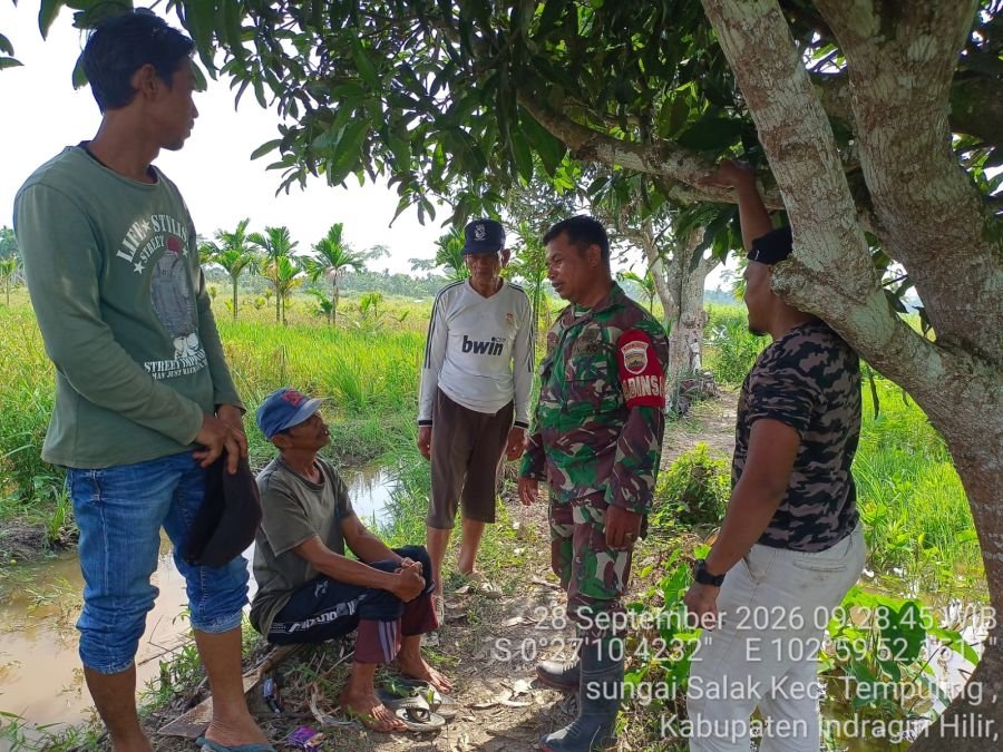 Babinsa 03/Tempuling Gelar Komsos dengan Petani dan PPL di Tengah Persawahan