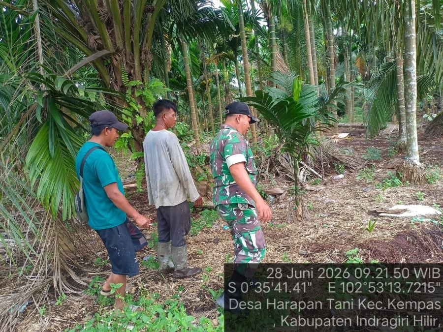 Babinsa 03/Tempuling Gencarkan Patroli Cegah Karlahut di Harapan Tani