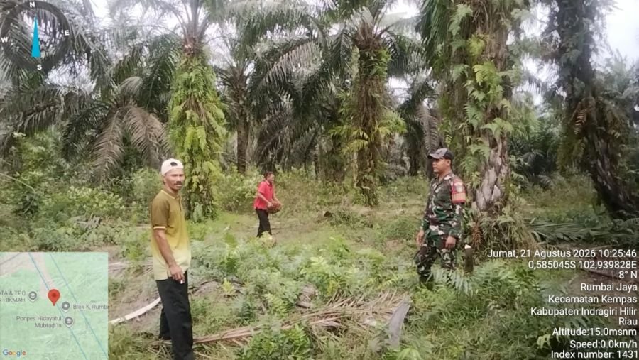 Babinsa 03/Tempuling Patroli Tapal Batas, Warga Rumbai Jaya Diingatkan Cegah Karhutla