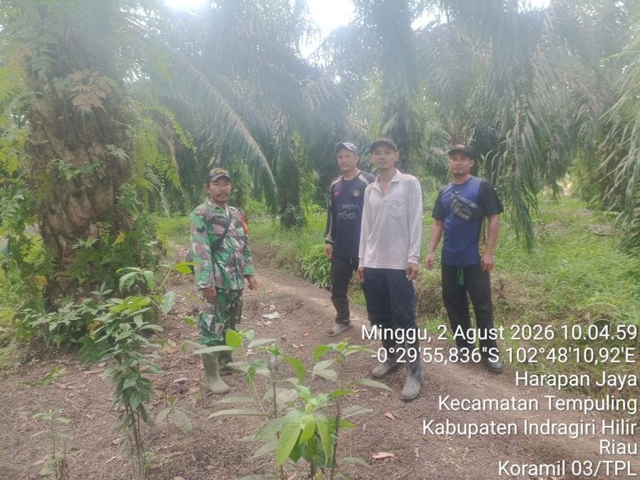 Babinsa 03/Tempuling Sisir Lahan Rawan Karhutla di Harapan Jaya