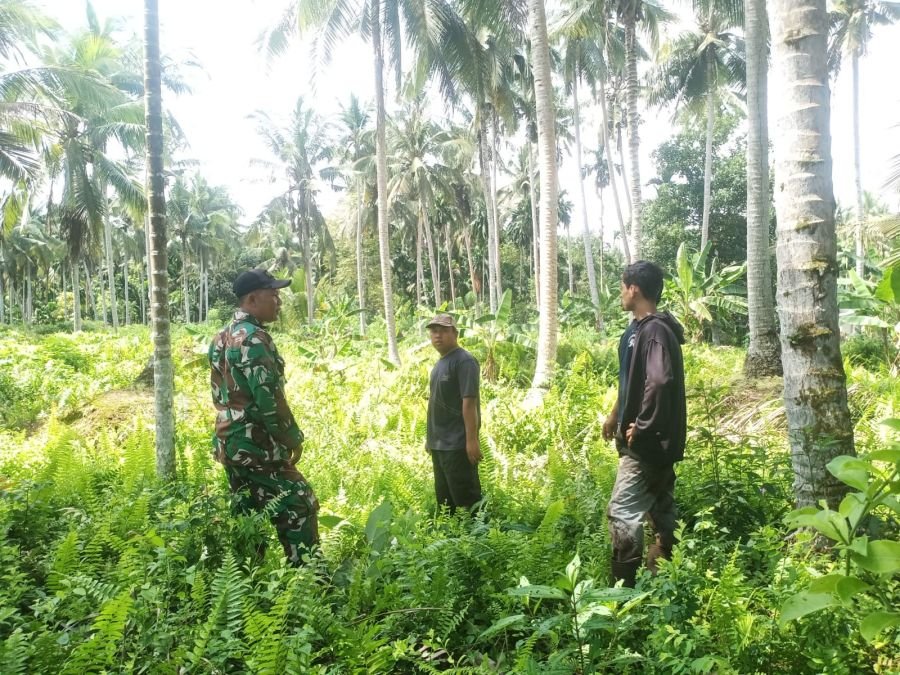 Babinsa 03/Tempuling Sisir Tapal Batas, Karhutla Dicegah Sejak Dini