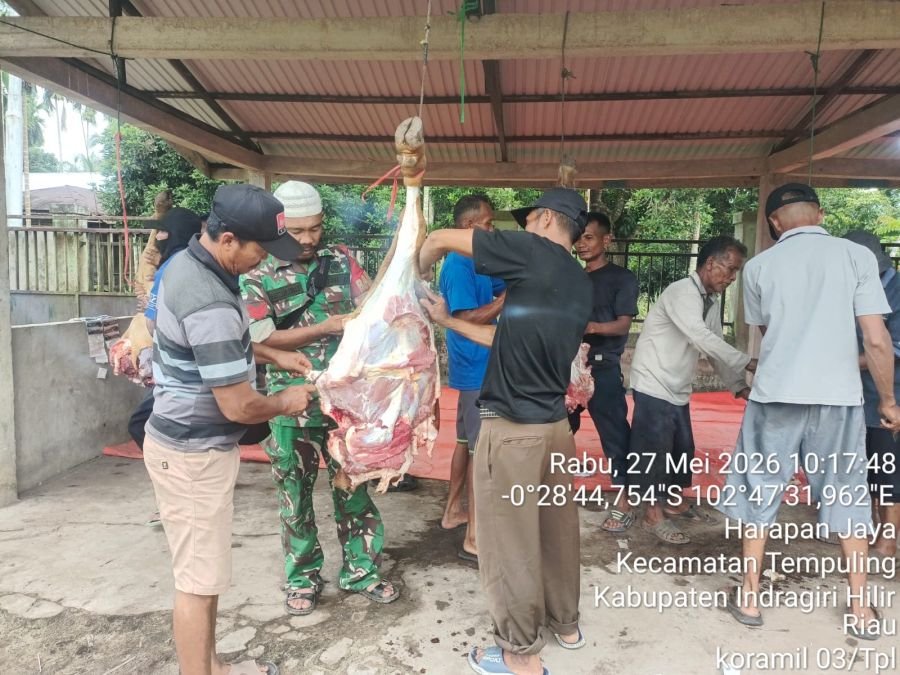 Babinsa 03/Tempuling Turun Langsung Bersihkan Hewan Kurban Bersama Warga