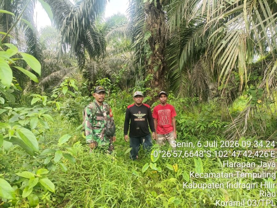 Babinsa 03/Tpl dan MPA Sisir Tapal Batas Cegah Karhutla di Tempuling