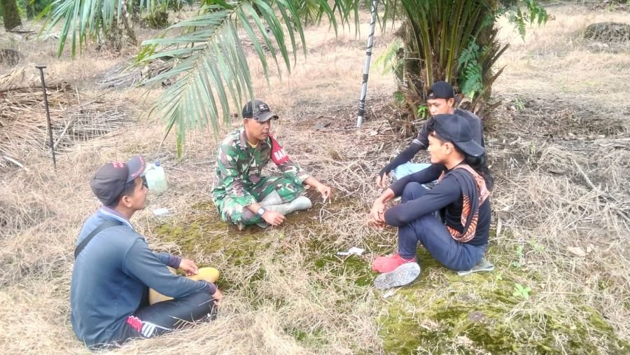 Babinsa 03/Tpl Temui Petani Sawit, Bahas Ketahanan Pangan dan Keamanan