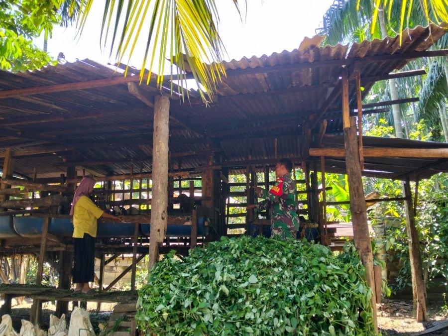 Babinsa 04/Kubu Pastikan Ternak Kambing Warga Teluk Nilap Jaya Bebas PMK