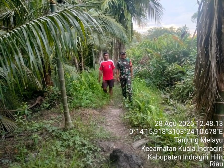 Babinsa 04/Kuindra Serda Ali B. Harahap Laksanakan Patroli Tapal Batas di Desa Tanjung Melayu