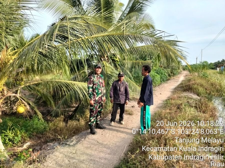 Babinsa 04/Kuindra Sikat Karhutla! Patroli Ketat Tapal Batas Kuala Indragiri Hasil Nihil