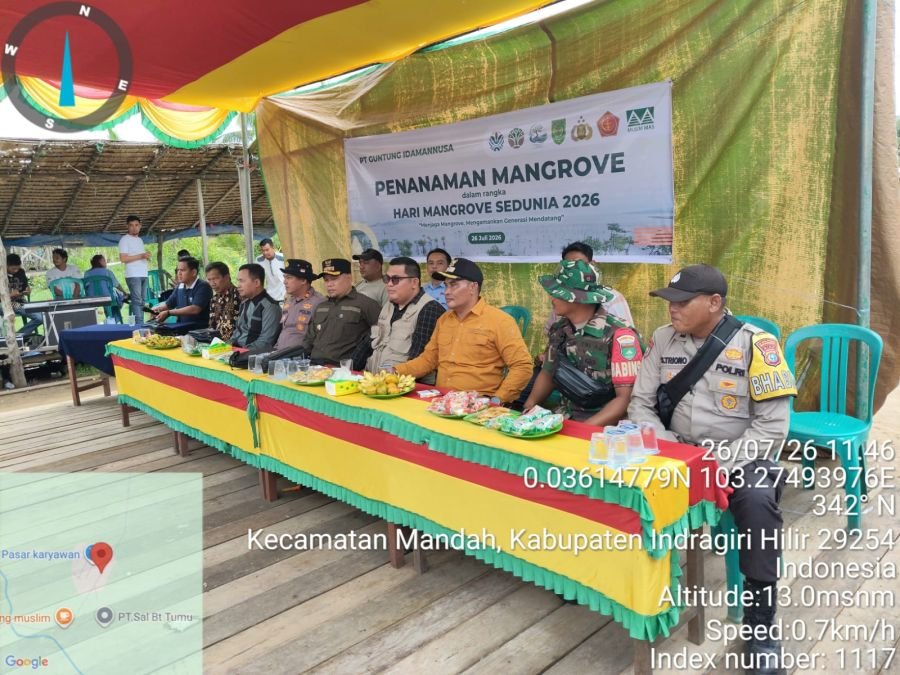 Babinsa 08/MDH Melaksanakan Penanaman Bibit Mangrove Dalam Rangka memperingati hari Mangrove sedunia