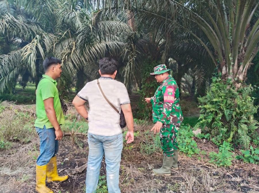 Babinsa 09/Kemuning Patroli dan Sosialisasi Bahaya Karhutla ke Warga Desa Petalongan