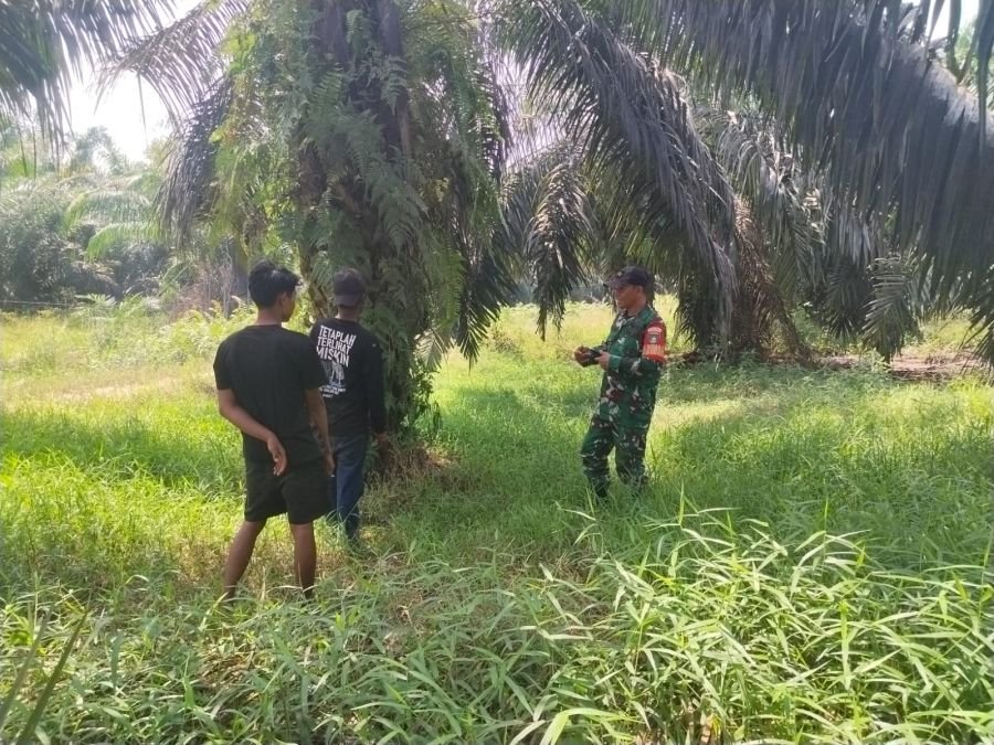 Babinsa 09/Kemuning Rutin Patroli Tapal Batas Sambil Edukasi Pencegahan Karhutla di Desa Pengalihan