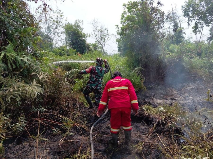 Babinsa Air Hitam dan Tim Gabungan Berjibaku Padamkan Karhutla di Pekanbaru