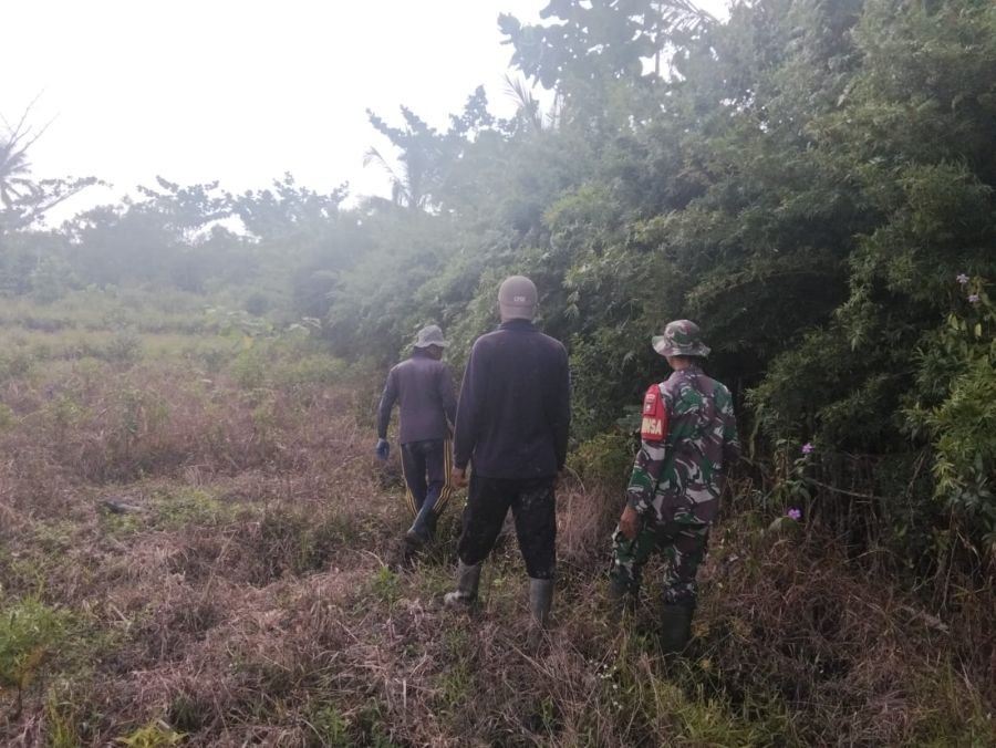 Babinsa Aktif Cegah Karhutla, Kopda Karman Keliling Lahan Warga di Desa Insit