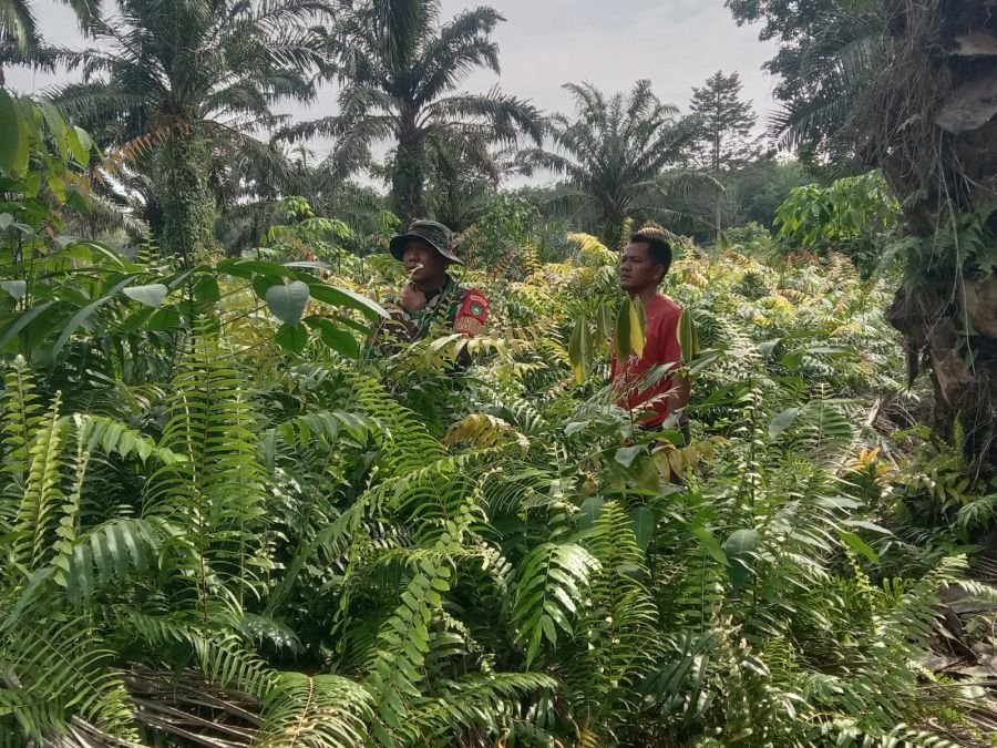 Babinsa Aktif Melaksanakan Patroli Karhutla Demi Mencegah Kebakaran Hutan dan Lahan