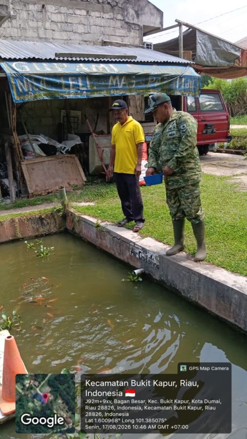 Babinsa Bagan Besar Dampingi Budidaya Lele dan Nila Perkuat Ketahanan Pangan