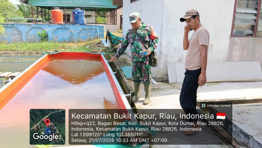 Babinsa Bagan Besar Dampingi Pengembangan Perikanan Air Tawar untuk Mendukung Ketahanan Pangan